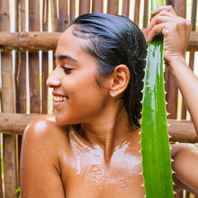 Cargar imagen en el visor de la galería, Regina Spa Therapy Shampoo Hotelero Hecho a Base de Aloe Vera Refil de 5 Litros